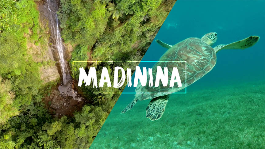 voyage-martinique-tortue-madinina-film-leo-meslet-xaleo