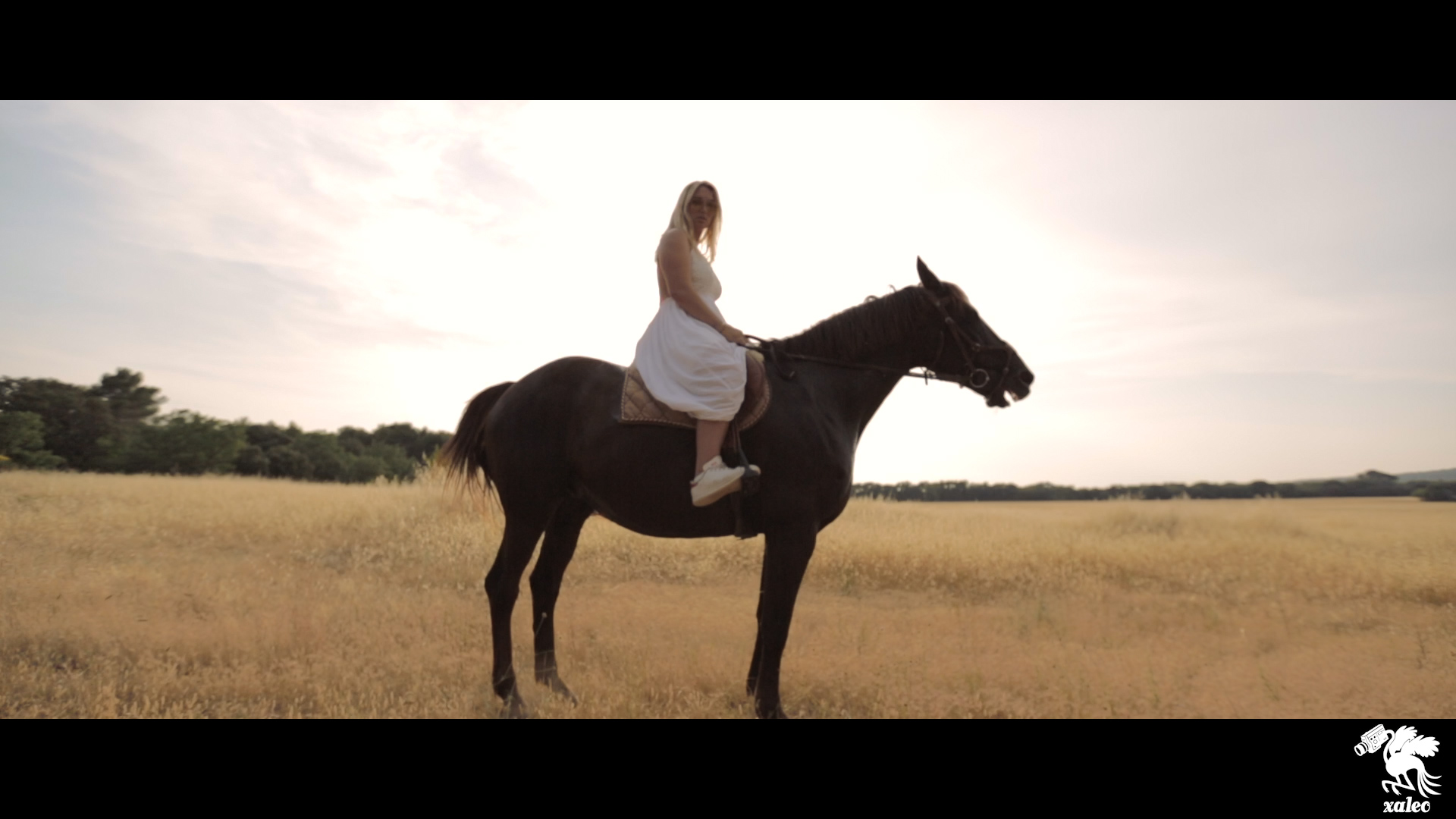 production-video-xaleo-studio-leo-meslet-cheval